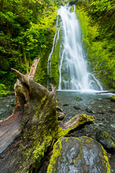 Barbee_170520_0436.jpg
